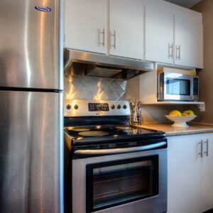 Vent-A-Hood | Kitchen Ventilation | Power Lung | 250 CFM | Shadyoakdist.com