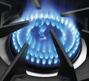 Capital | Open Burner