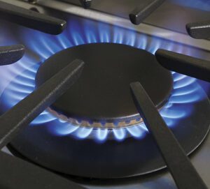 Capital | Sealed Burner